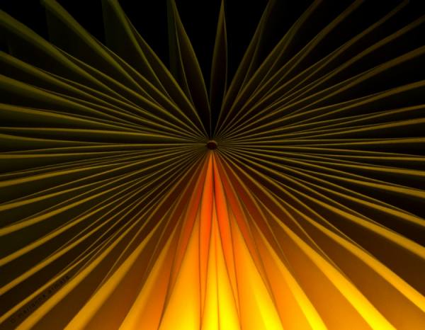 Photograph Marianna Armata Fanned Paper on One Eyeland